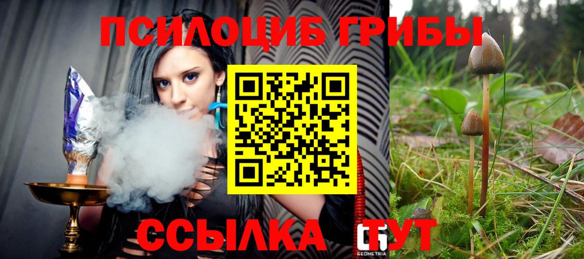 Лянтор  Галлюциногенные грибы ЛСД  Вход с VPN 